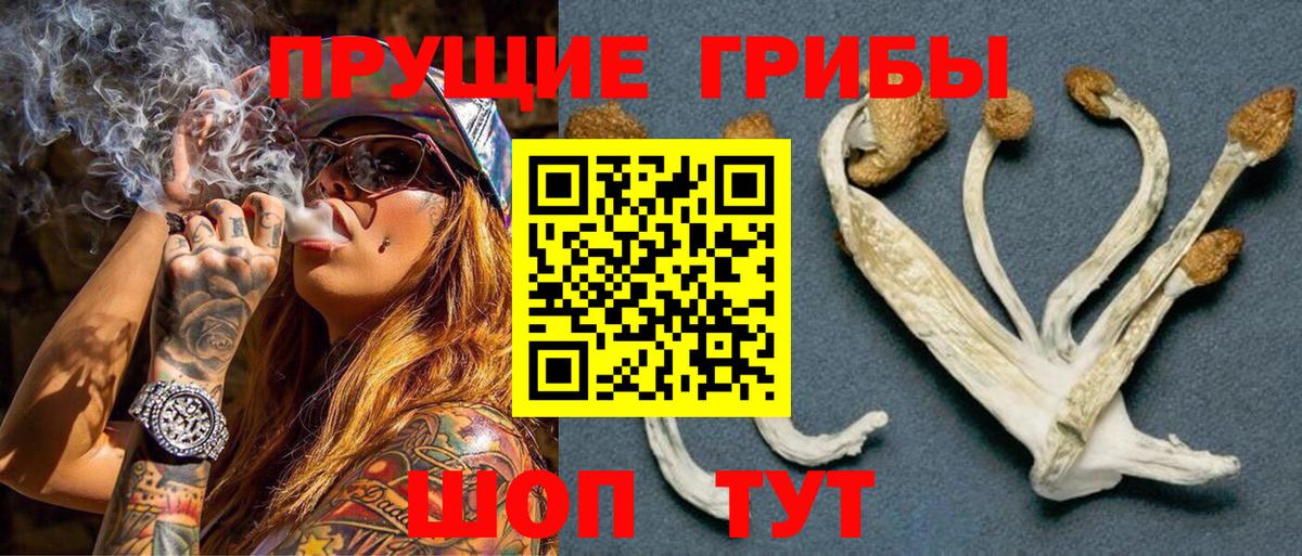 Рославль  Псилоцибиновые грибы Psilocybine cubensis  Вход с VPN  Псилоцибиновые грибы ЛСД 